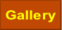 Gallery.